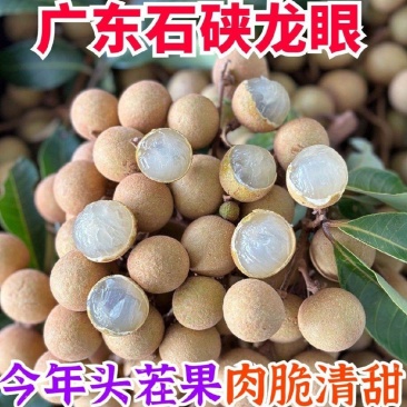 广东茂名石硖龙眼20mm以上统货清甜爽脆产地直发