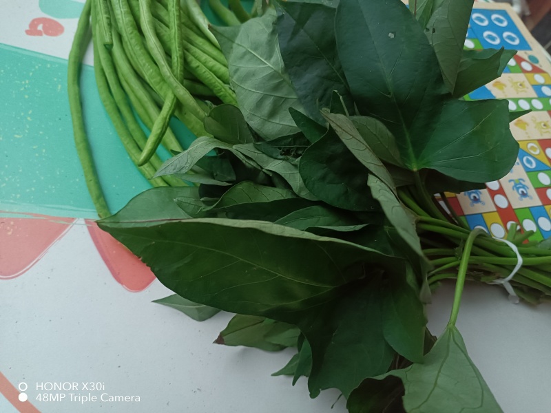 可食地瓜叶番薯叶泡沫箱加冰发货