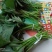 可食地瓜叶番薯叶泡沫箱加冰发货
