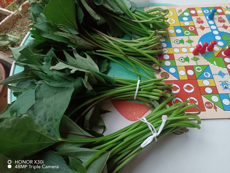 可食地瓜叶番薯叶泡沫箱加冰发货