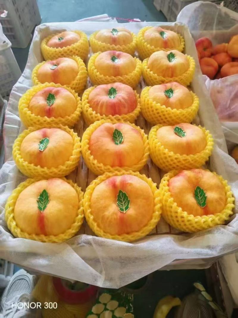 油盘桃