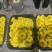 榆黄菇鲜品销售