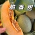 西州蜜瓜甘肃哈密瓜，品种齐全，量大从优，对接市场批发商