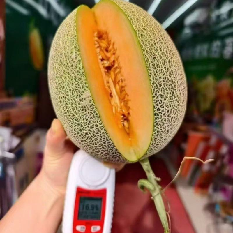 晓蜜25哈密瓜，甘肃哈密瓜，规格齐全保质保量，可视频看货