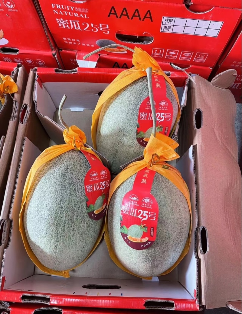 甘肃哈密瓜，晓蜜25哈密瓜，大量现货供应，对接市场批发商