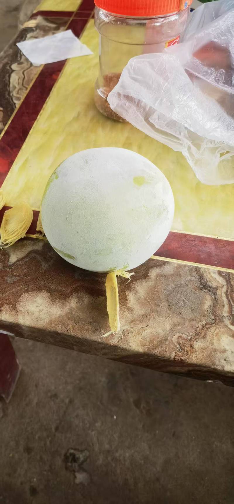 墨西哥品种冰琪琳果长在树上的哈根达产地直供欢迎来电咨询