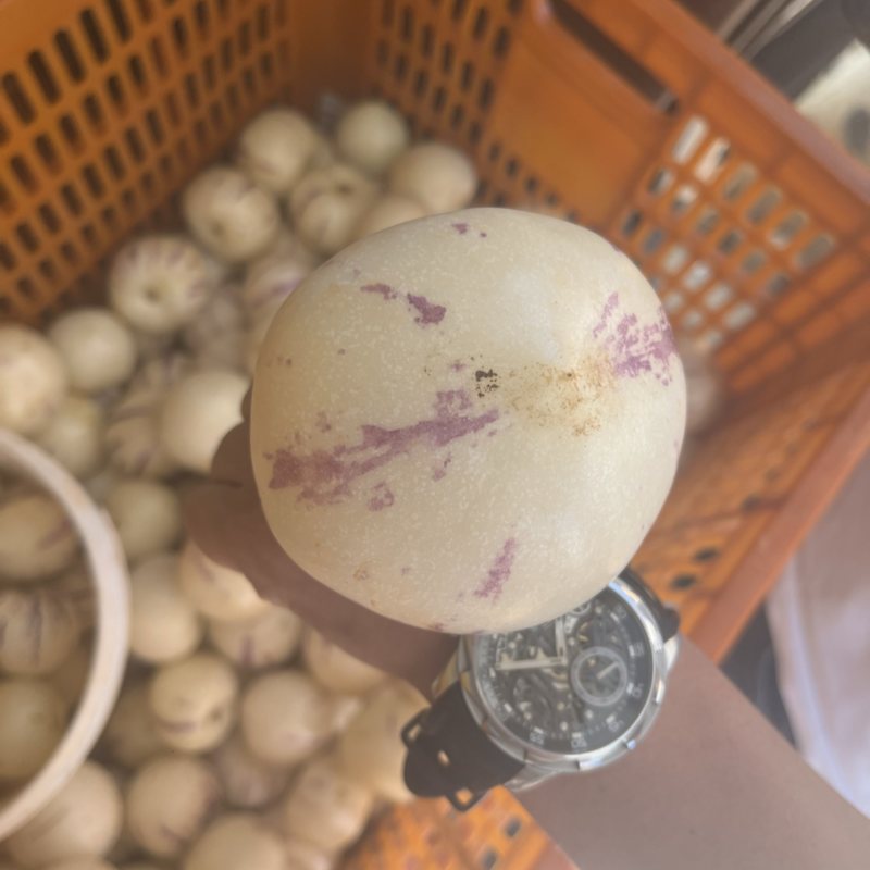 人参果