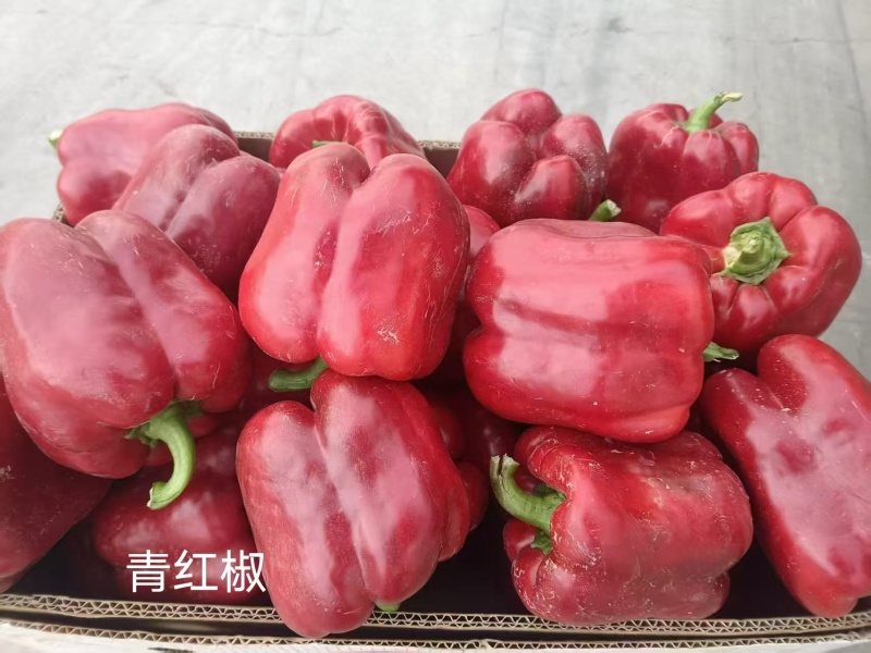 大红椒产地直发，价格优惠。欢迎采购，质量保证。