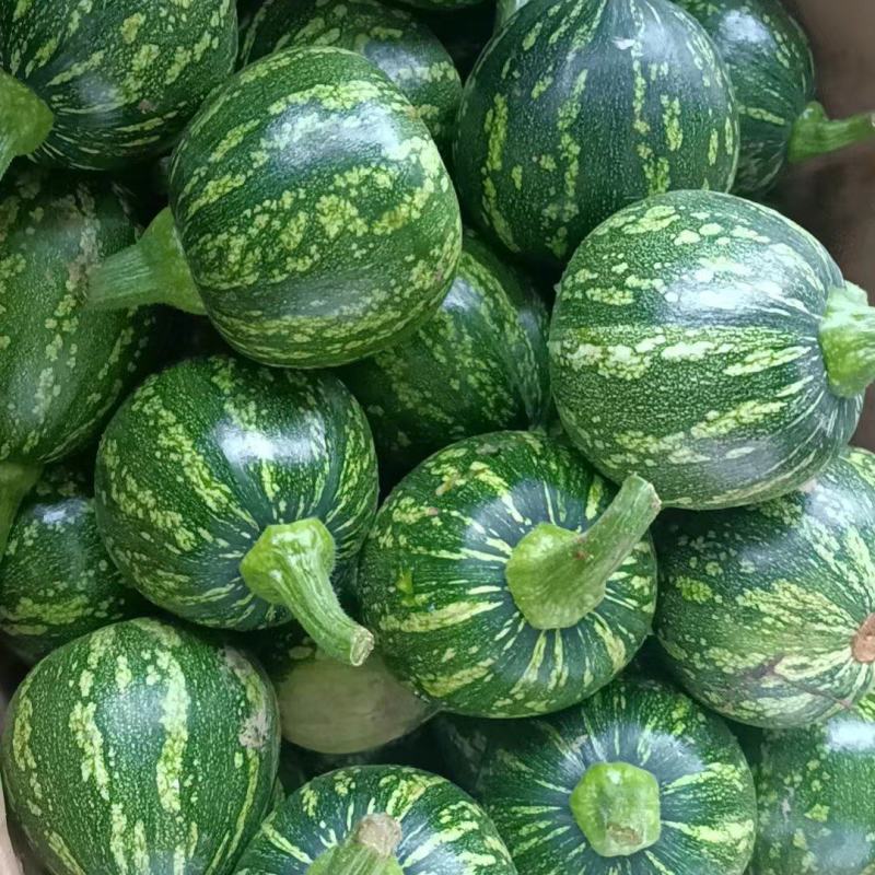 黄心小南瓜，产地大量发货，零食批发，价格优惠，质量保证