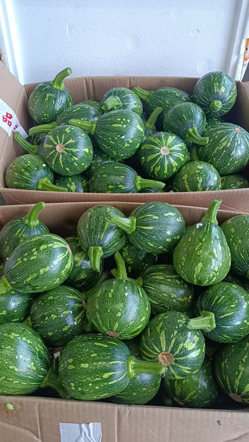 黄心小南瓜，产地大量发货，零食批发，价格优惠，质量保证