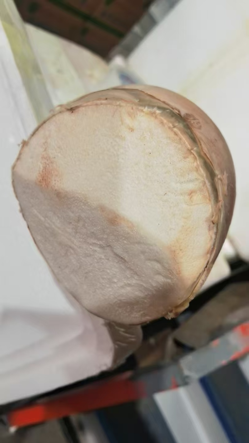 云南水果笋，质量保证，产地一手货源，欢迎下单
