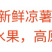 贵州镇宁地罗卜