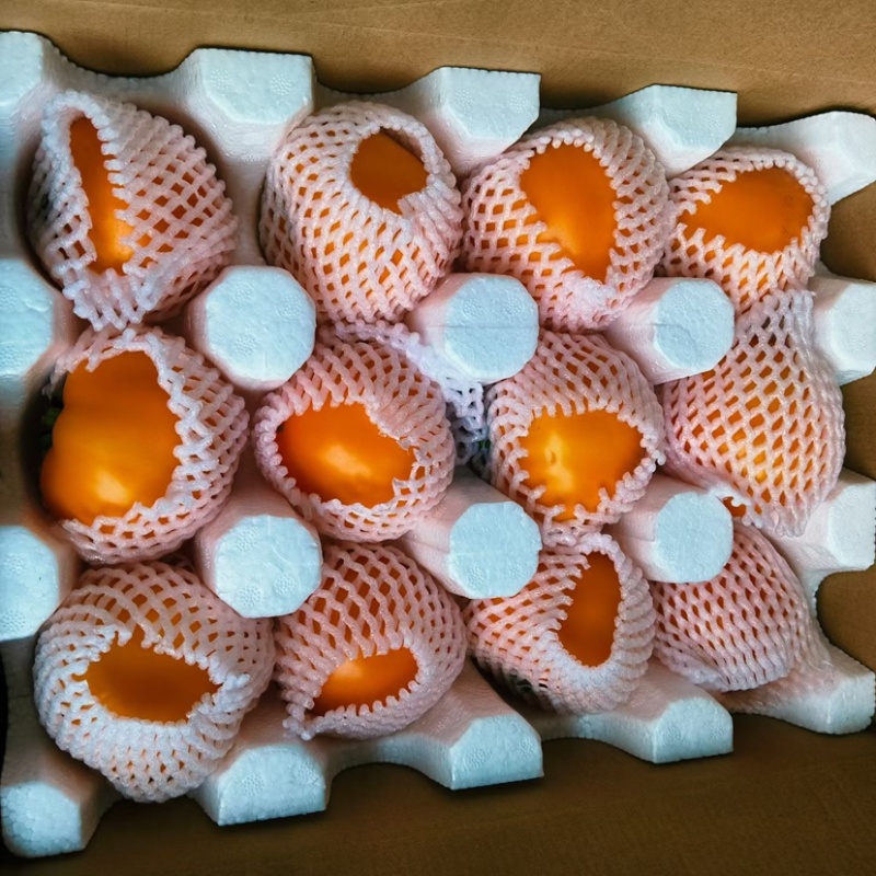 黄西红柿