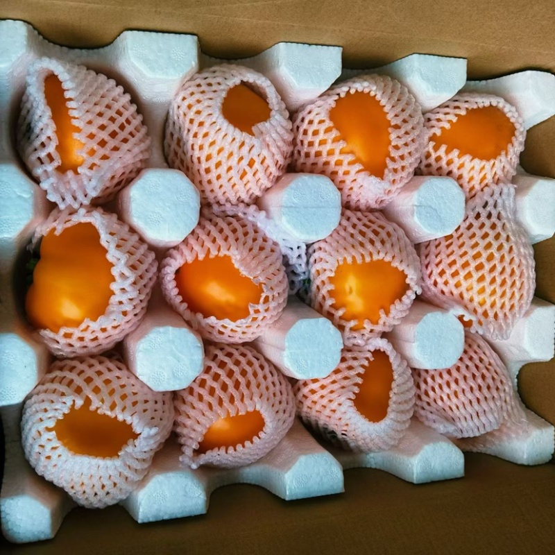 黄西红柿