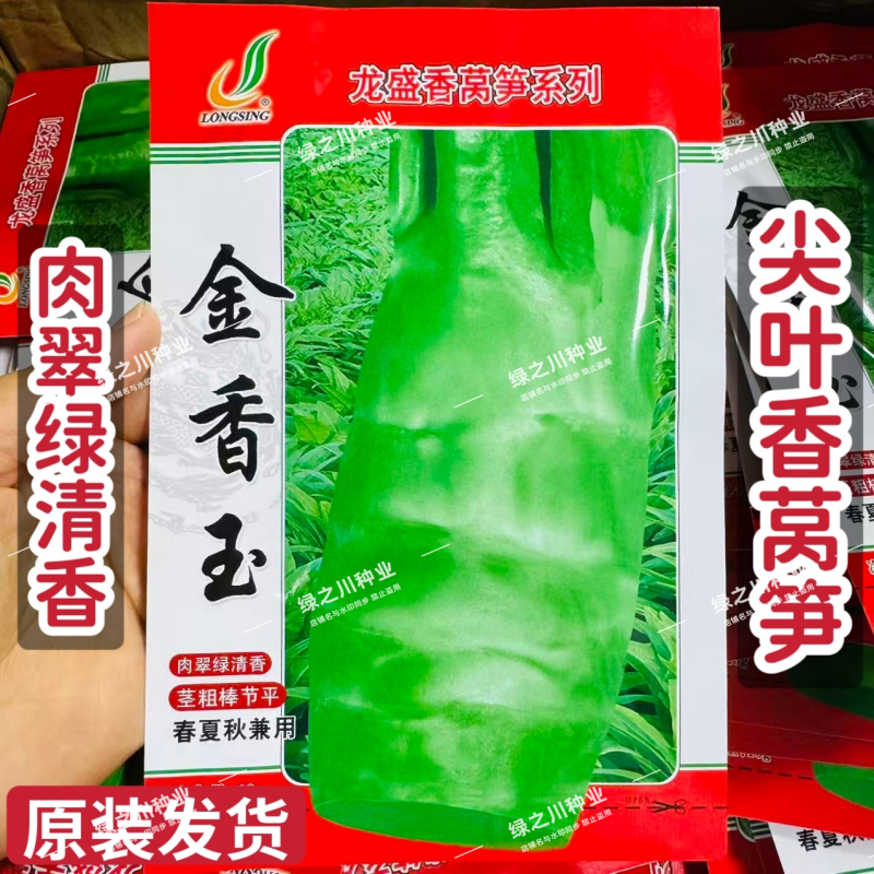 新一代香笋王春秋兼用耐热香莴笋种子龙盛金香玉莴笋种子