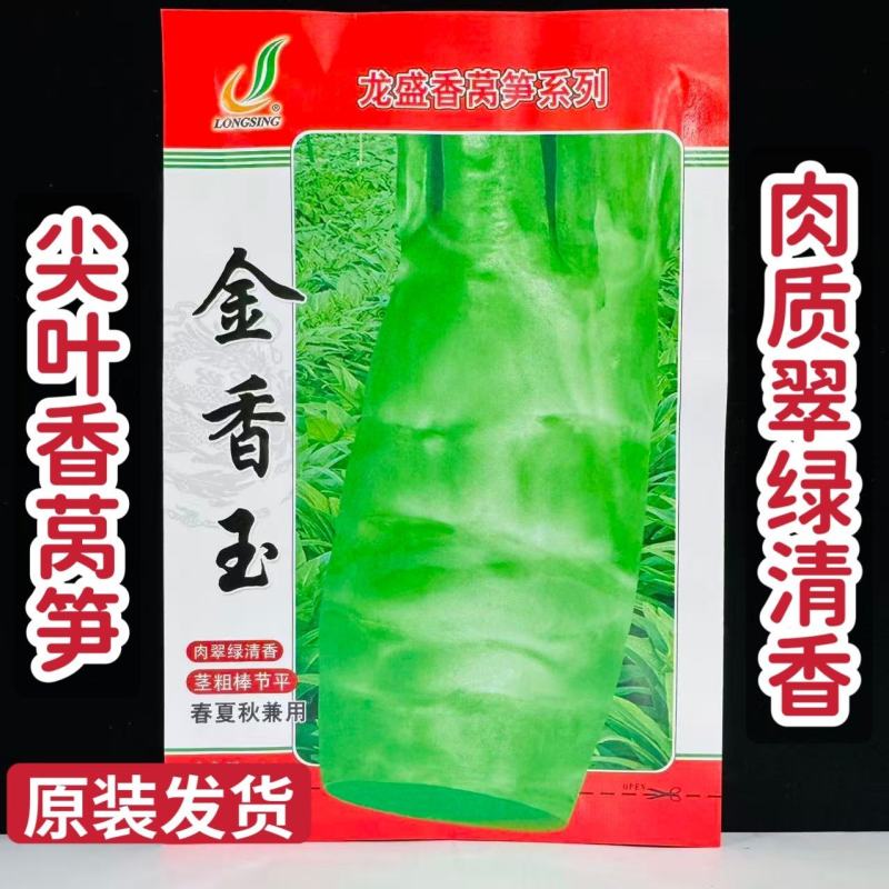 金香玉耐热大尖叶莴笋种子皮肉嫩绿春夏秋莴抗热苣种籽