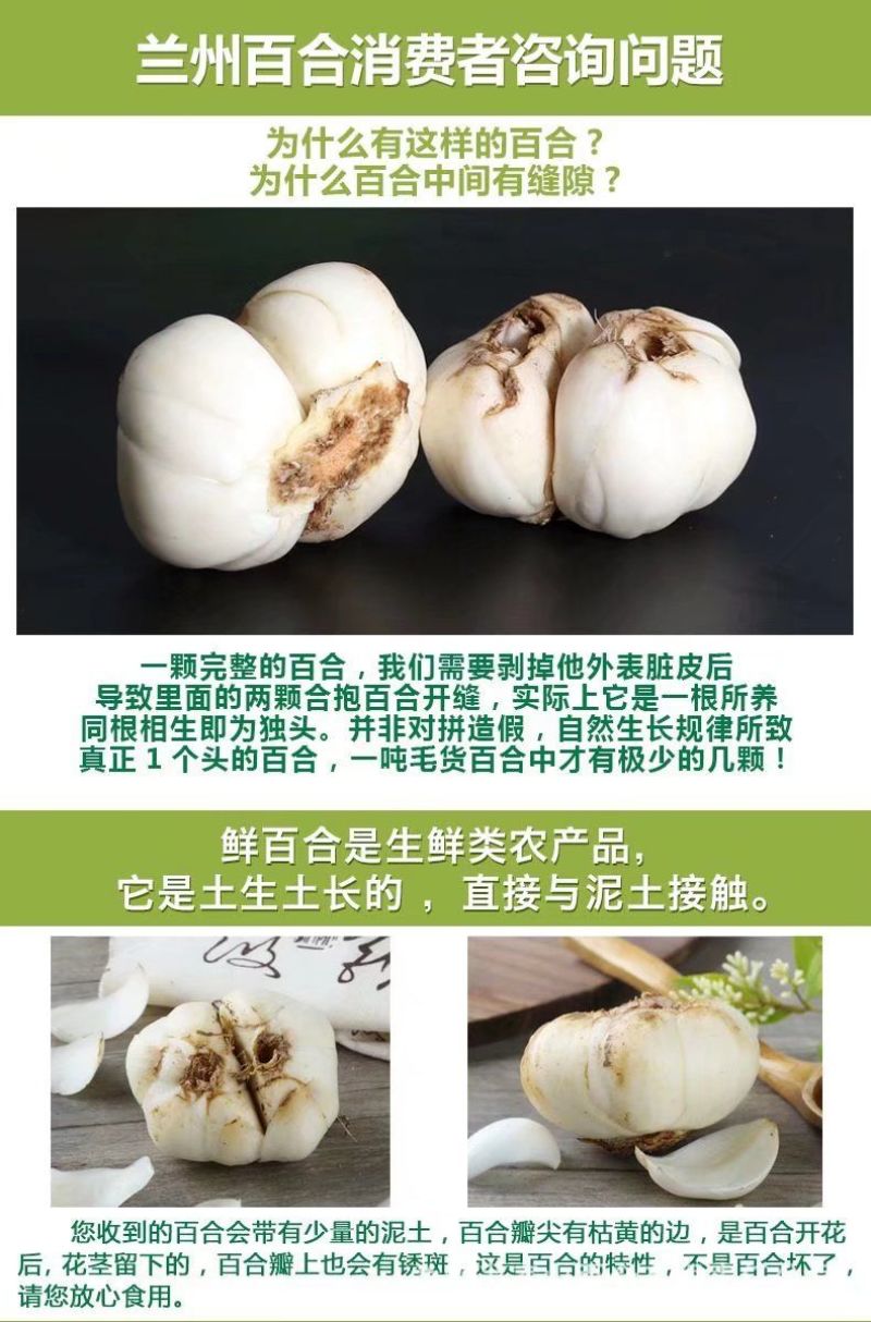 甘肃兰州农家百合产地直发