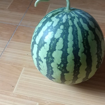 河南美都首批