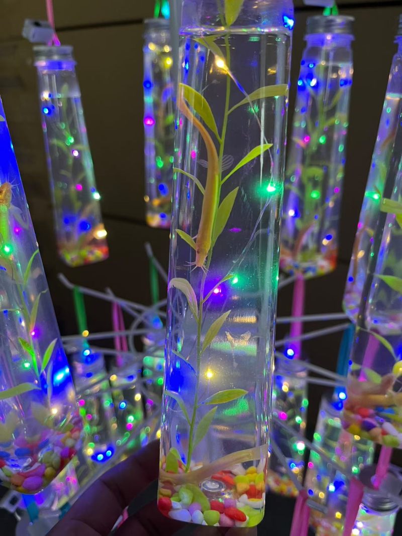 摆摊神器网红小金龙拿去卖15-20很好卖小孩，女孩子