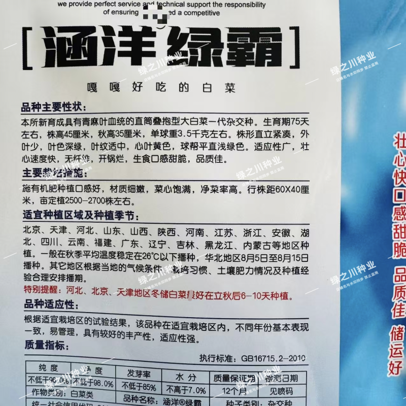 涵洋绿霸大白菜种子中桩叠抱河北绿霸大白菜种籽口感甜脆