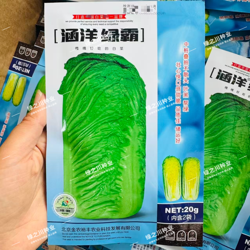 涵洋绿霸大白菜种子中桩叠抱河北绿霸大白菜种籽口感甜脆