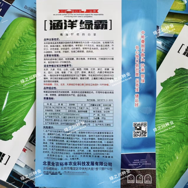 涵洋绿霸大白菜种子中桩叠抱河北绿霸大白菜种籽口感甜脆