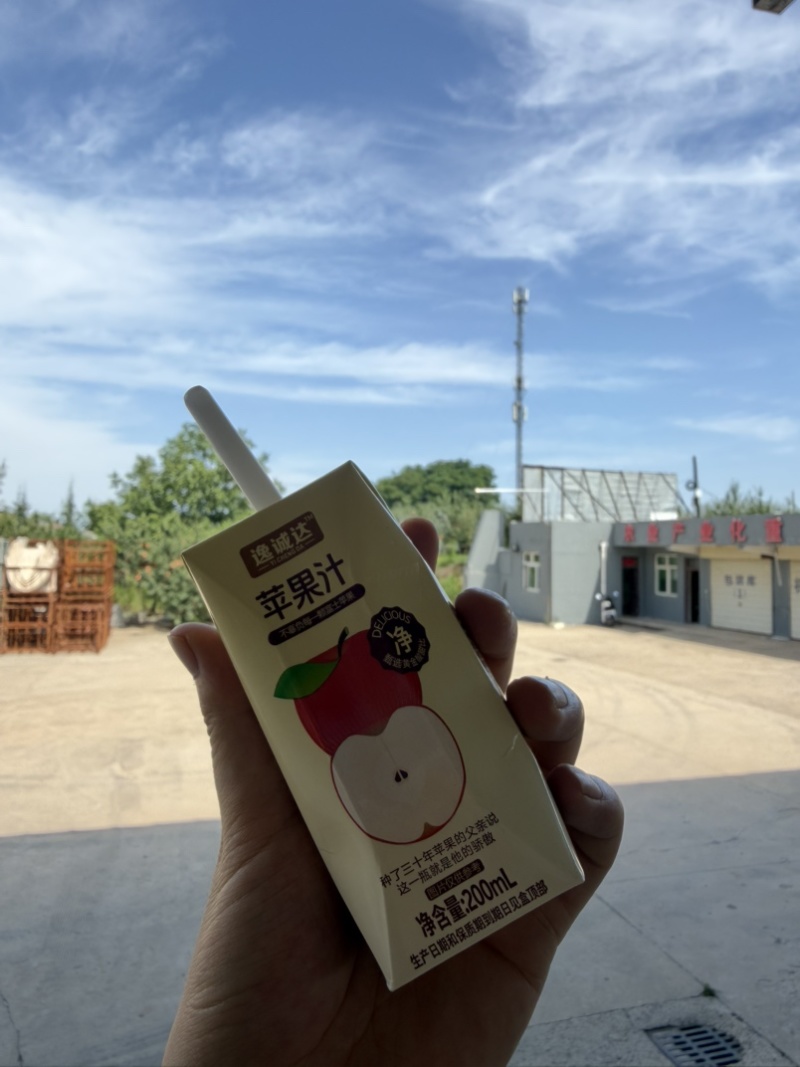 陕西苹果汁采用洛川苹果100%果汁休闲果汁好喝解腻批发