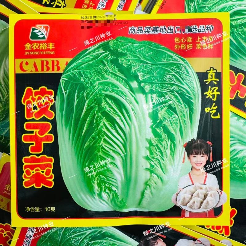 真好吃饺子菜大白菜种子秋季杂交包头大白菜种子大颗白菜种籽