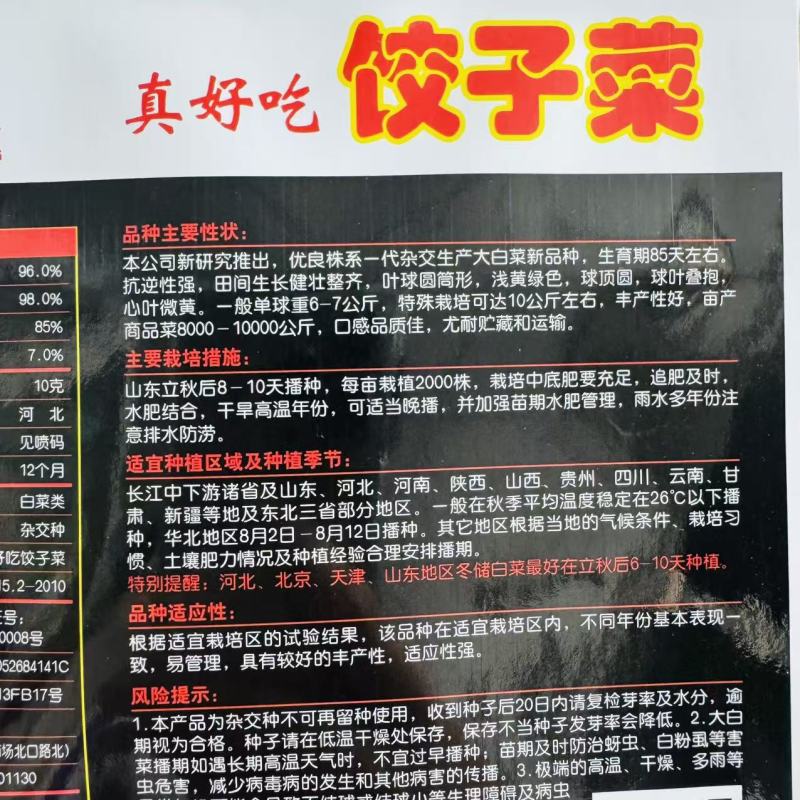 真好吃饺子菜大白菜种子秋季杂交包头大白菜种子大颗白菜种籽