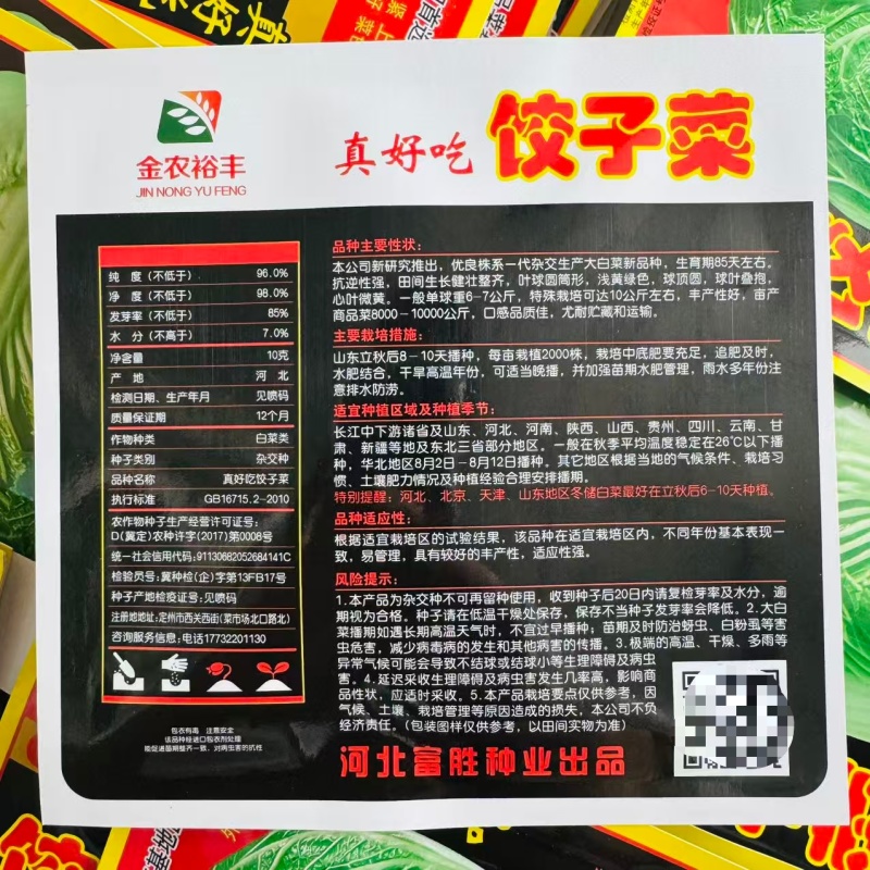 真好吃饺子菜大白菜种子秋季杂交包头大白菜种子大颗白菜种籽