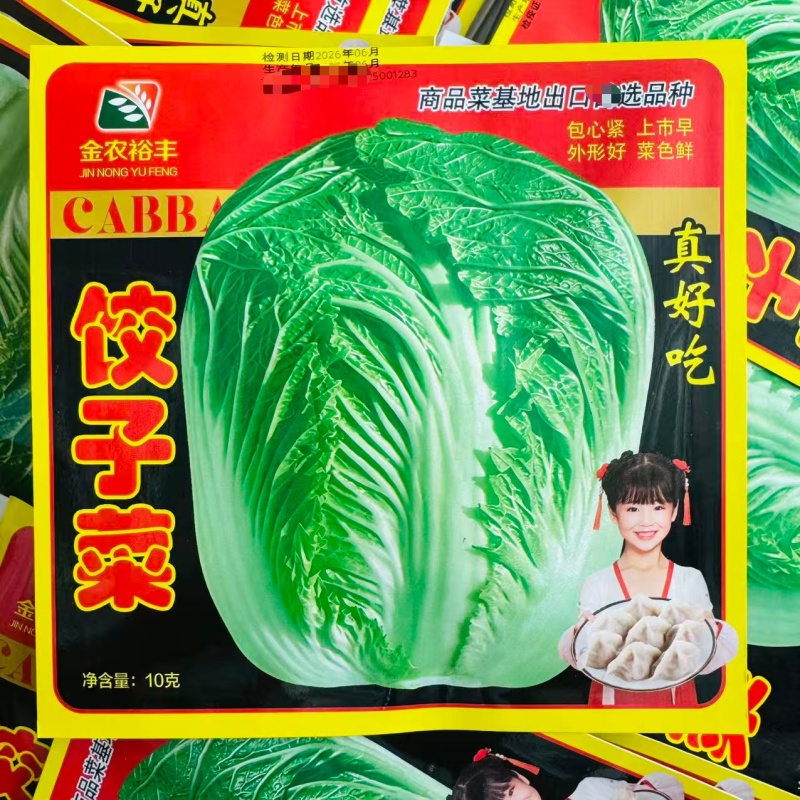 真好吃饺子菜大白菜种子秋季杂交包头大白菜种子大颗白菜种籽