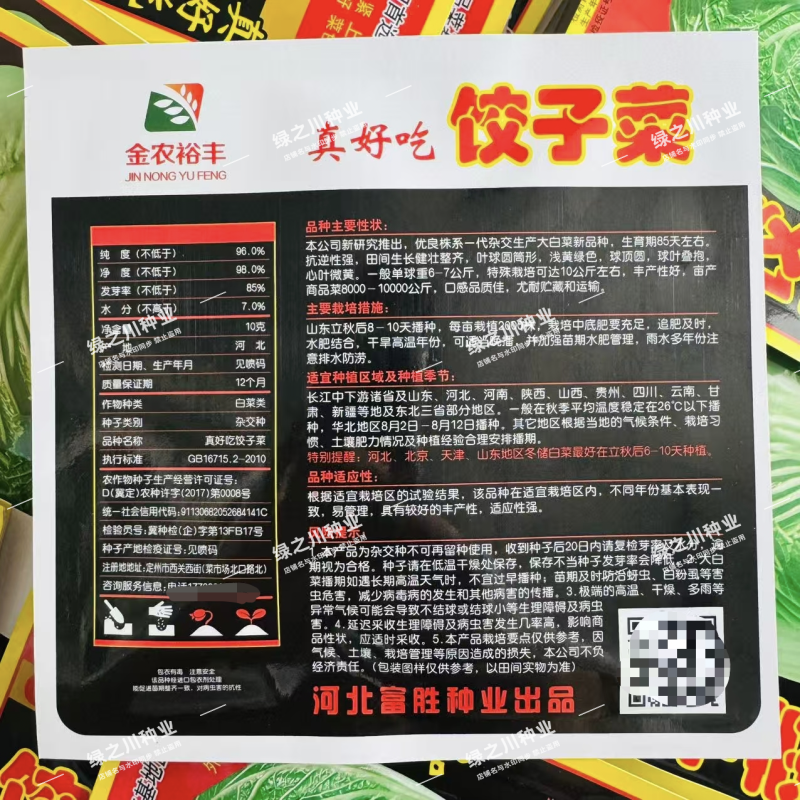 真好吃饺子菜大白菜种子秋季杂交包头大白菜种子大颗白菜种籽