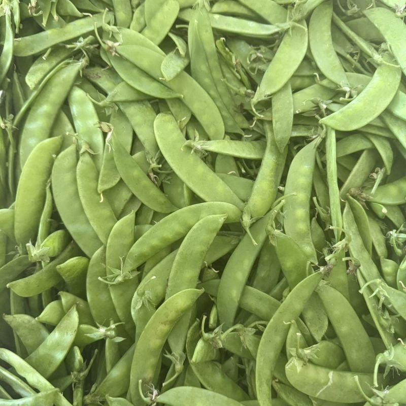 台湾珍宝双花豆双荚荷兰豆豌豆种子甜脆爽口好吃
