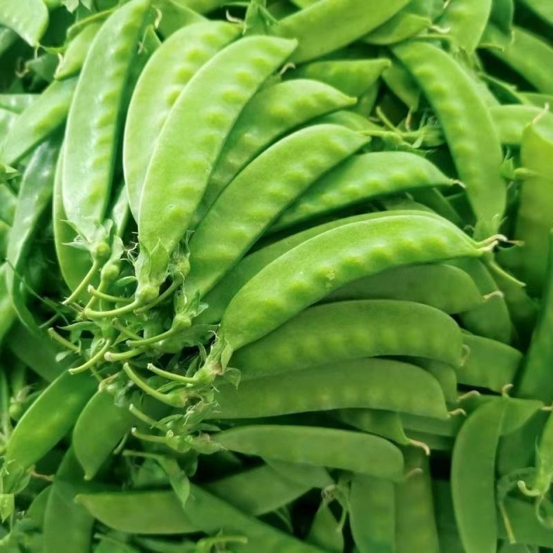 台湾珍宝双花豆双荚荷兰豆豌豆种子甜脆爽口好吃