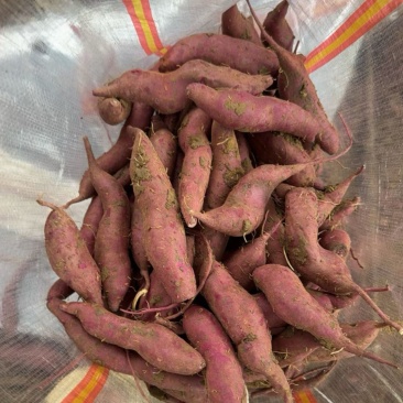 大量出货