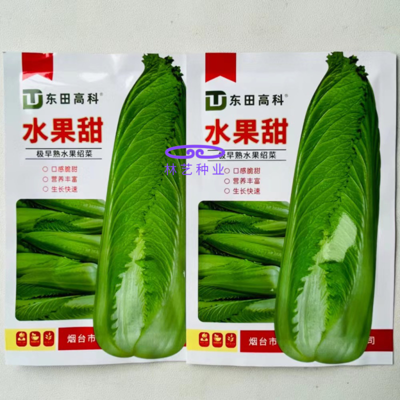 水果甜绍菜大白菜种子蔬菜优质高产抗病耐贮商品性佳秋季播种