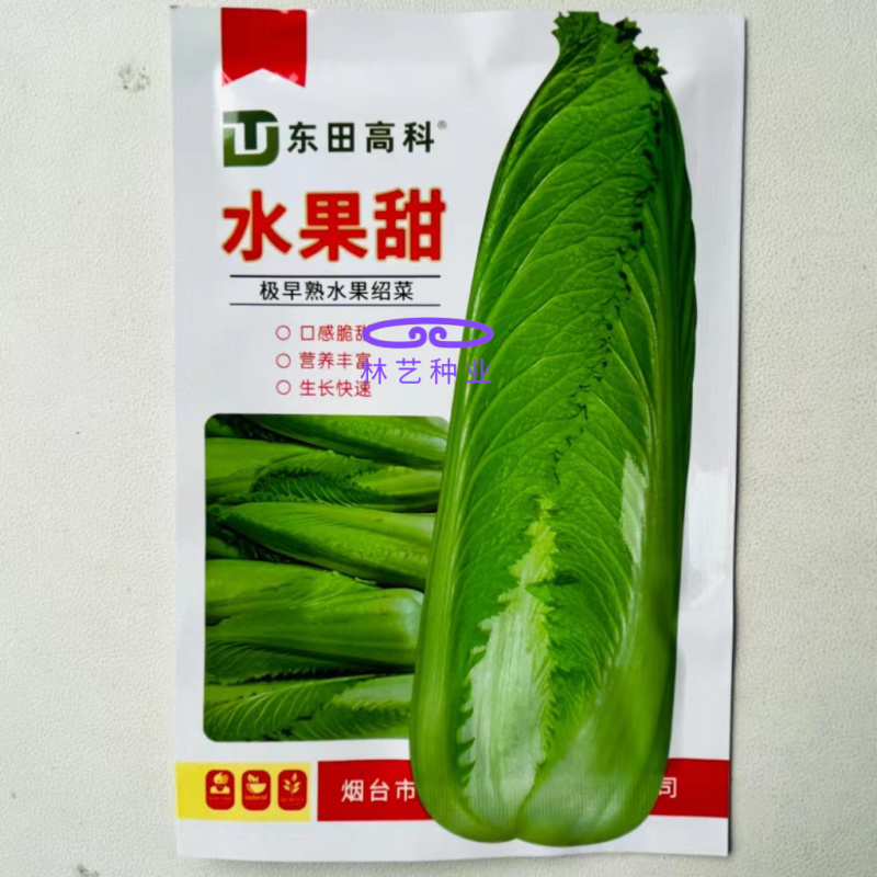 水果甜绍菜大白菜种子蔬菜优质高产抗病耐贮商品性佳秋季播种