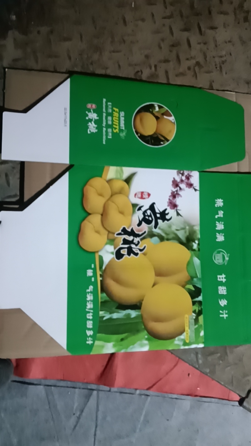 95亩桃园转让