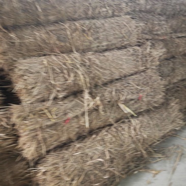 稻草帘！草帘！垫料！