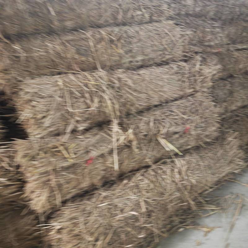 稻草帘！草帘！垫料！