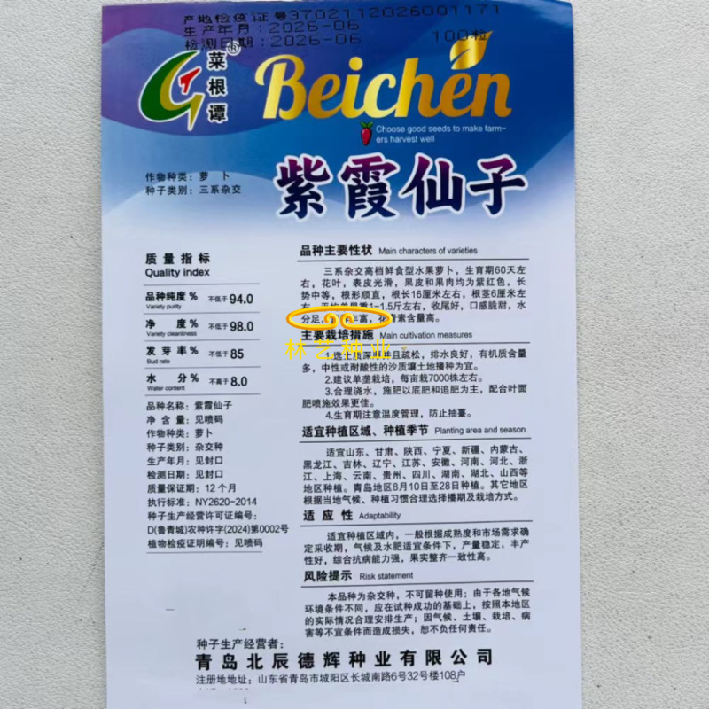 紫霞仙子紫皮紫肉水果萝卜种子60天三系杂交脆甜花青素紫萝