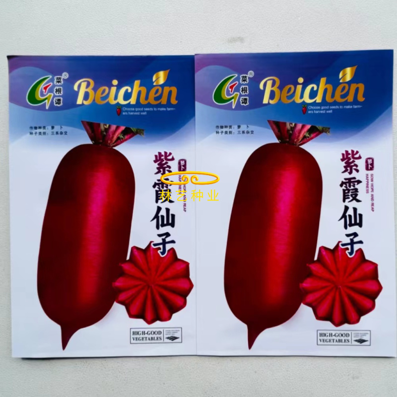 紫霞仙子紫皮紫肉水果萝卜种子60天三系杂交脆甜花青素紫萝