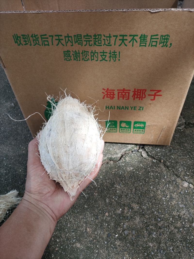 海南文昌去皮带毛椰青椰白（地标农产品）4个箱装6个箱装