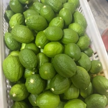 广东香水柠檬