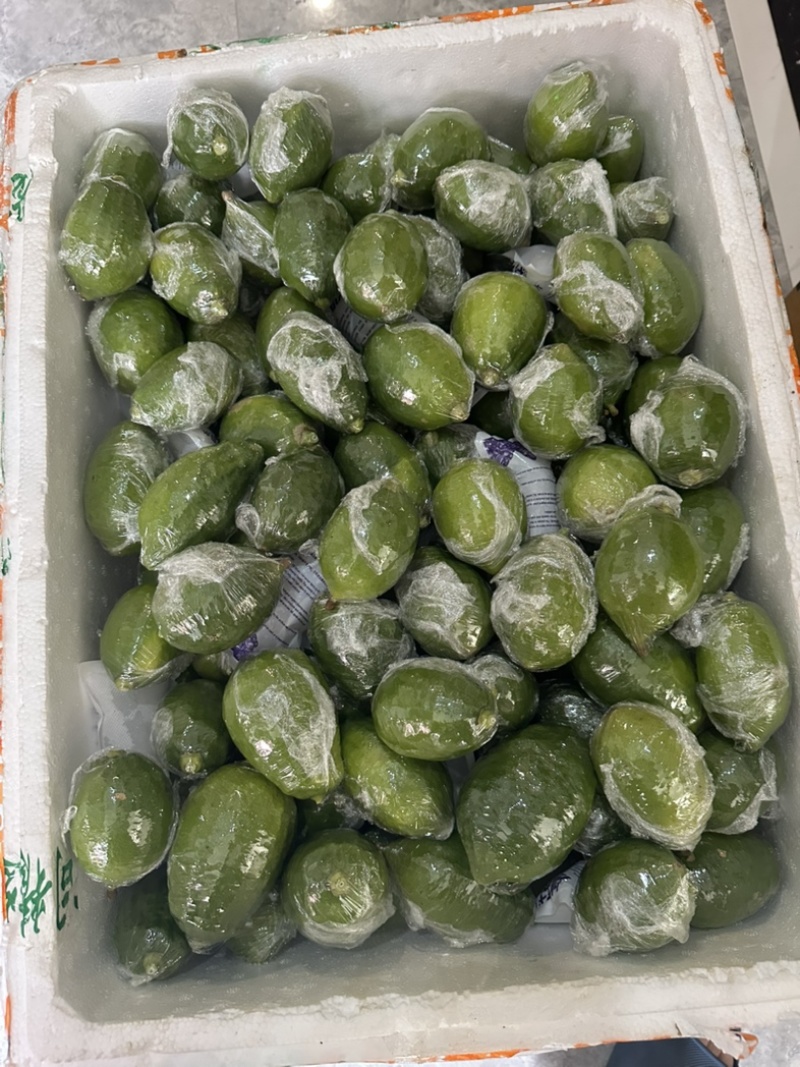 广东香水柠檬