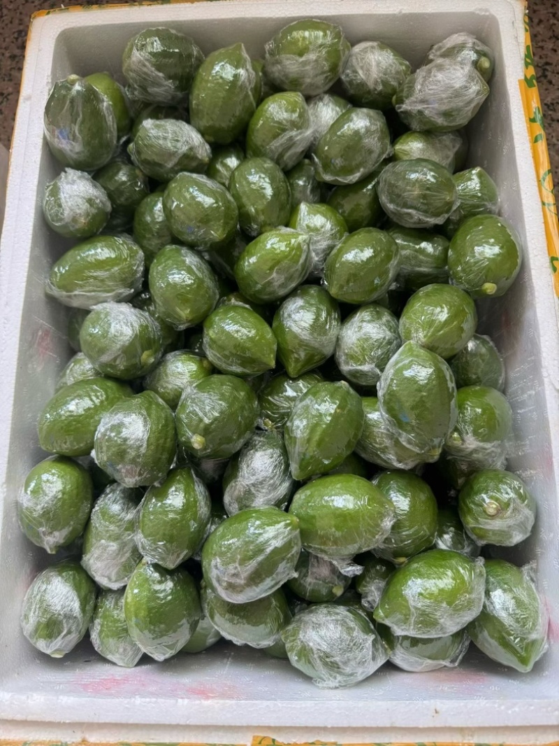 广东香水柠檬