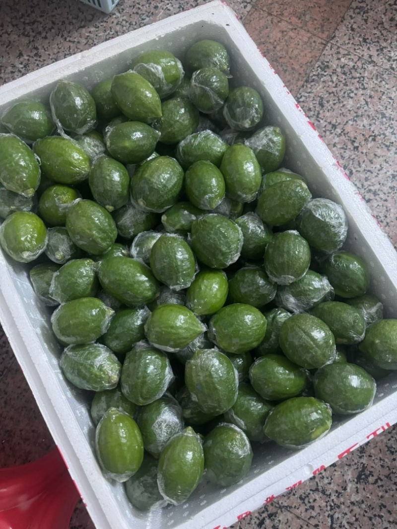 广东香水柠檬