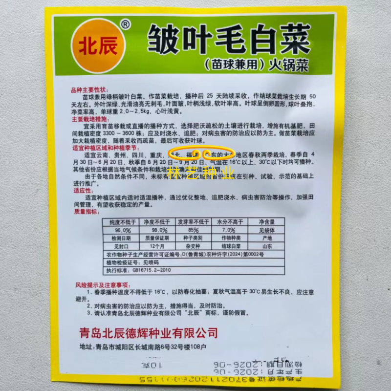 皱叶毛白菜种子结球包心早熟耐寒抗病秋冬蔬菜种子南北方秋季