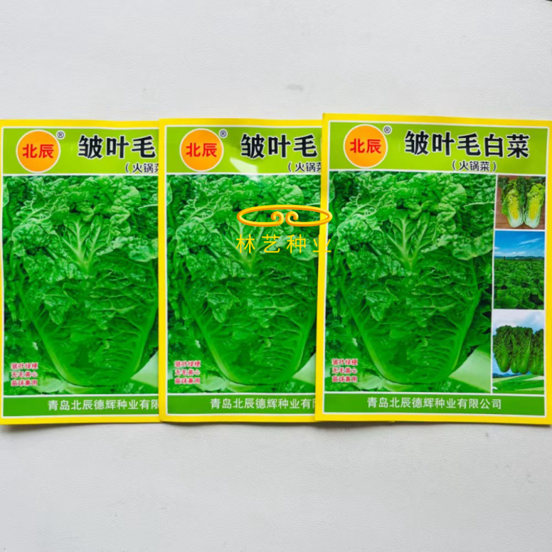 皱叶毛白菜种子结球包心早熟耐寒抗病秋冬蔬菜种子南北方秋季
