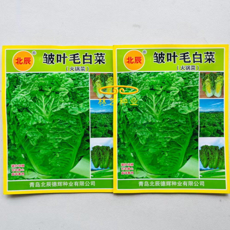 皱叶毛白菜种子结球包心早熟耐寒抗病秋冬蔬菜种子南北方秋季